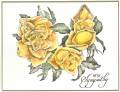 2007/06/28/yellow_roses_by_SophieLaFontaine.jpg