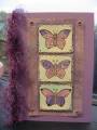 2007/01/17/fuzzybutterfly_by_TampaShelley.jpg