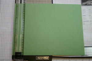 ~~~ PRETTY SCRAPBOOK BOX W/ SEALED CARDBOARD SHEETS ( I COUNTED AT LEAST  13!)