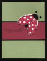 2007/06/28/Pick_a_Petal_Ladybug_by_Desa_by_Desa_Dugas.jpg