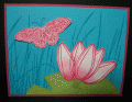 WaterLily_