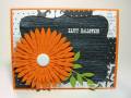 2009/10/03/card-_Top_Note_frame-_with_orange_daisy-_copyright_by_mshbluesky.JPG
