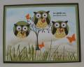 Three_Owls