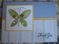 2007/11/25/Garden_Whimsey_Butterfly_Card_by_pcgaynor.jpg