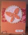 2009/04/26/Butterfly_Card_by_In_the_Pines.jpg