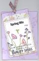 2008/02/15/spring_mix_seed_packet_by_gabby89.jpg