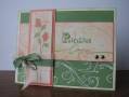 2008/03/01/lee_s_cards_321_by_luvmyboys_amp_stampin.jpg