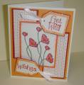 2009/01/14/Get_Well_Poppies_by_fmtinsley.JPG