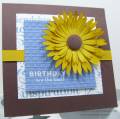 2010/06/10/daisybirthday_by_cmstamps.jpg