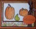 2008/08/20/Punkins_by_DMEmomto3.JPG
