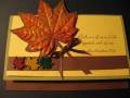 2008/10/10/Ginna_s_Autumn_Card_Using_Card_Candy_from_Deb_by_Carol_.jpg