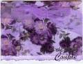 2008/06/02/Coastal_Cabana_05-16-08_Happy_Couple_Purple_by_ForYouByMeLiz.jpg