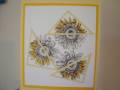 2010/05/14/F4A12_Sunflowers_of_a_Different_Shape_by_greenmaytag.JPG