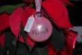 2008/12/23/DSC_0635_Pink_Peace_ornament_by_bfszcw5.JPG