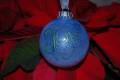 2008/12/25/DSC_0681_bashful_blue_joy_ornament_by_bfszcw5.JPG