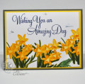 2018/08/09/spring-daffodils-1_by_kitchen_sink_stamps.jpg