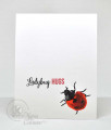 Lady-Bugs-