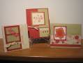 2008/03/22/lee_s_cards_341_by_luvmyboys_amp_stampin.jpg