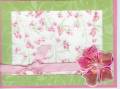 2009/02/04/embrace_life_with_vellum_and_crystal_effects_by_Janetloves2stamp.jpg