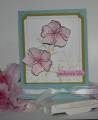 2009/03/25/IMG_3534_Embrace_life_by_dhstamps.JPG