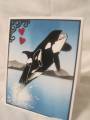 2011/03/01/Mother_and_Baby_Orcas_by_ellentaylor.JPG