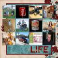 2008/01/05/things_in_my_life_by_scrapnstamp_on_the_farm.jpg