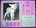 2008/03/18/CC158_Easter_Lamb_by_twinwillowsfarm.jpg
