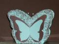 2009/06/01/Butterfly_Box_Aqua_by_Kathy_LeDonne.JPG
