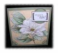 2008/05/23/Finished_Magnolia_Card_2_by_laughingstamper.JPG