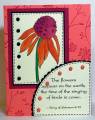 2008/03/06/WT156_mms_twinkling_coneflower_by_lacyquilter.jpg