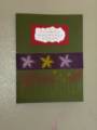 2008/07/11/Second_card_I_made_for_card_holder_don_t_think_it_s_the_greatest_by_stampinup_mom24.JPG