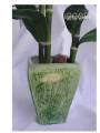 2008/05/20/green_bamboo_vase_5_by_Stamp_out_loud.JPG