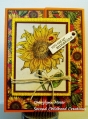 Sunflower_