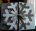 2014/12/15/Holiday_Snowflakes_by_Crafty_Julia.JPG