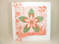2008/06/18/2008_0617Cards0006_by_discoverstampin.JPG