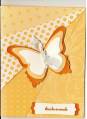 2009/08/07/Butterfly_Ray_in_Apricot_by_CRyzuk.JPG