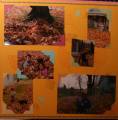 2008/02/13/Fall_Leaves_2005_Right_by_gretchenhs.jpg
