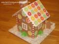 2009/12/10/gingerbread_house_2_by_sweet_as_a_gumdrop.jpg