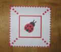 2010/06/09/card_punch_art_ladybug_by_Carolynn.jpg