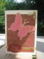 2008/08/31/Pink_Butterfly_Card_by_CarinaCards.jpg