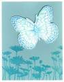 2009/05/05/cool_carribe_soft_sky_butterfly_by_janetwmarks.jpg