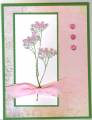2009/03/26/Flower_Soft_Card_by_Stampin_Nanny.jpg