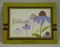 2008/08/26/Purple-Passion_by_dostamping.jpg