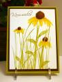 2008/09/06/Inspired-by-Nature-card_by_CathyRose.jpg