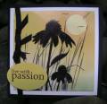 2010/01/17/1_live_with_passion_by_Kiwi_Jules.jpg
