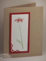 2010/07/15/Inspired_by_Nature_Single_Bloom_by_bon2stamp.gif