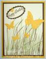 Daffodil_B