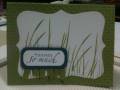 2011/05/08/card_-_grassy_olive_by_weims.JPG