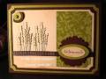 2009/03/01/Thanks_Green_Brown_by_In_my_closet_Stampin.jpg