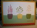 2010/07/01/Pocket_Silhouettes_Card_e-mail_by_mamawcindy.jpg